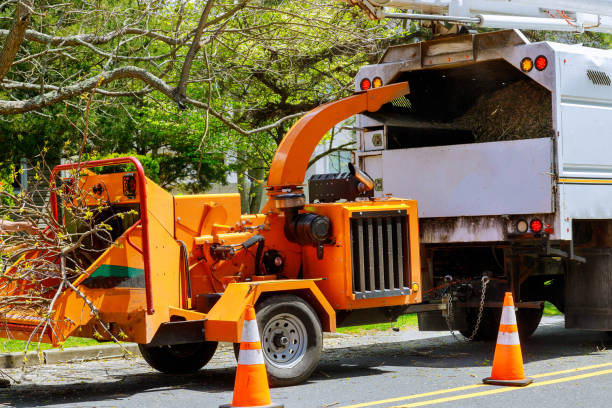 Best Utility Line Clearance  in Eutaw, AL